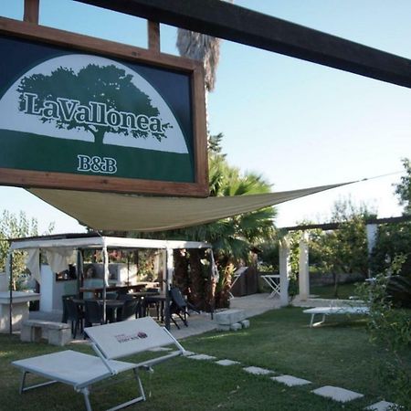 La Vallonea Casamassella Ngoại thất bức ảnh